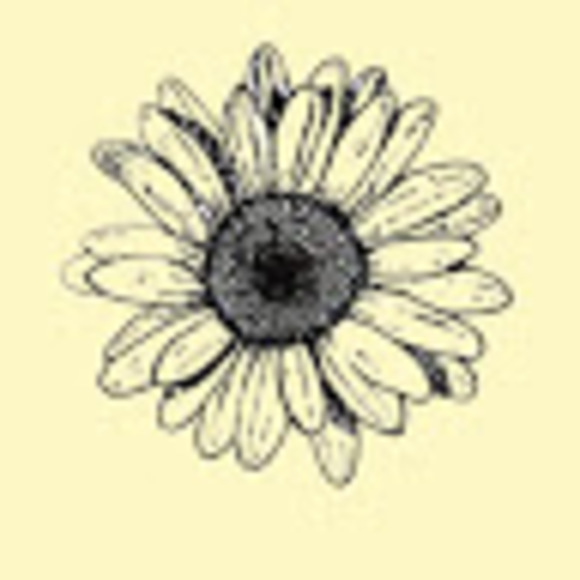 lasiler33
